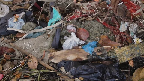 Close up shot of polluted terrain with plastic bags and garbage, Guanabara bay Stock Footage 123737177