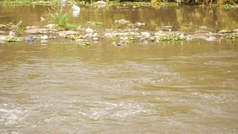 Close shot of polluted water streams, View of water flowing in river Vídeo Stock 148541253