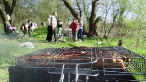 Close-up shot of preparing a delicious grilled dish. Stock Footage 272206628