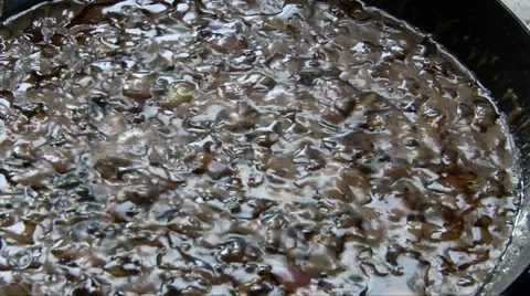Close up shot: preparing fry onion in soy sauce on a Teflon pan 스톡 동영상 68419087