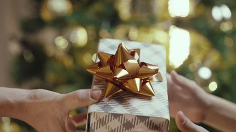Close-up Shot of Presenting a Gift Stock Footage 255291398
