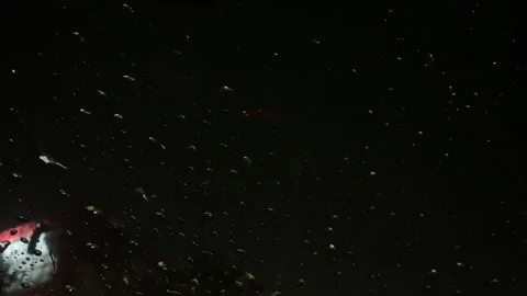 Close up shot of rain drops on car wind shield in city traffic Stock Footage 240602238