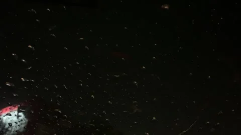 Close up shot of rain drops on car wind shield in city traffic Stock Footage 240602287