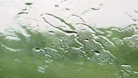 Close up shot of rain drops falling down. Stock Footage 114231621