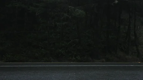Close-up shot of rain drops falling onto the road by the dense, evergreen forest Stock Footage 232268542