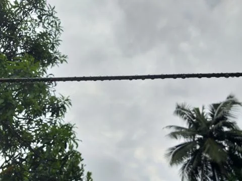 A close up shot of rain drops on a wire. Stock Photos