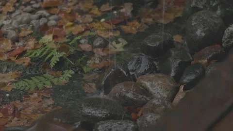 Close up shot of rain water falling off a roof onto peddles in a garden. 스톡 동영상 229848968