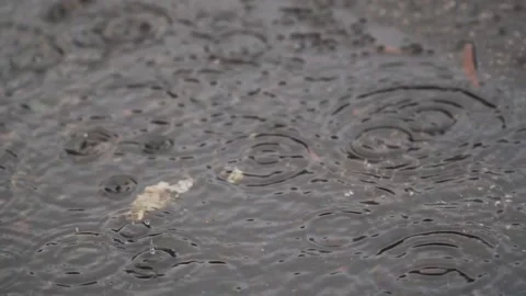 Close up shot of raindrops falling into puddle on ground in slow motion Video stock 152899092