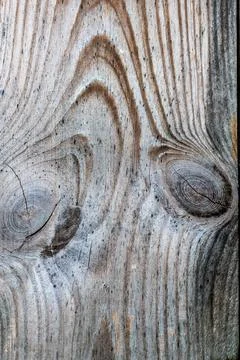Close shot of a raw board with distinct knots and natural wood grain Фото