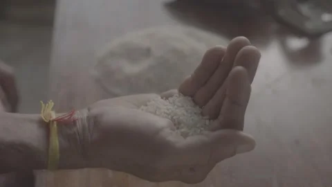 Close-up shot of raw rice in a person's palm. Stock-Footage 330239703