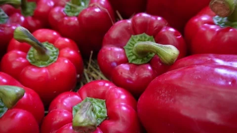 Close up shot of red bell pepper Video stock 231555376
