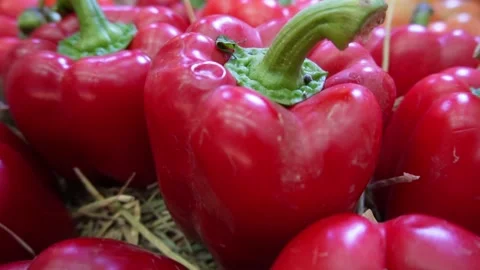 Close up shot of red bell pepper Vídeo Stock 231681082
