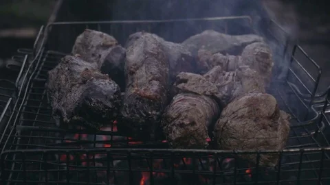 Close-up shot of red meat and chicken legs grilled during picnic Stock Footage 84019564