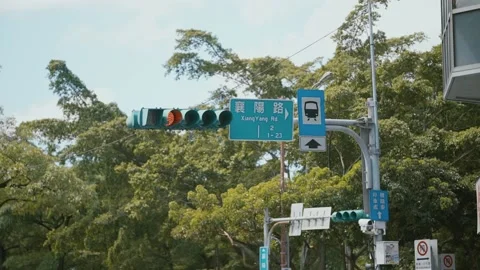 Close up shot of red Taffic light. Bus crossing the road. Trees in urban Stock Footage 132733032