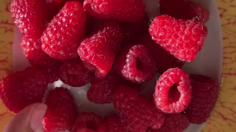 A close-up shot of a ripe raspberry with glistening water droplets Stock Footage 315403254