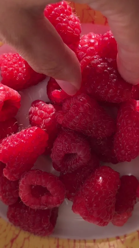 A close-up shot of a ripe raspberry with glistening water droplets Stock Footage 315403403
