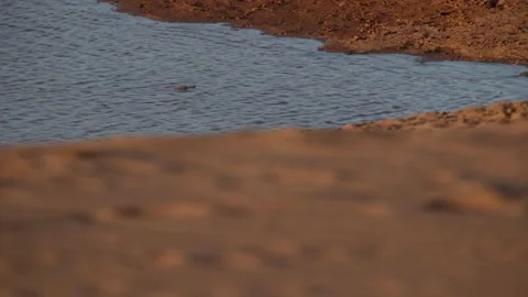 Close shot of river margin 스톡 동영상 152310325