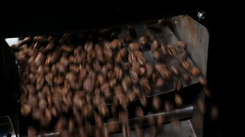Close-up shot of roasted coffee beans spill out of a discharging flap cooler. Stock Footage 115884460