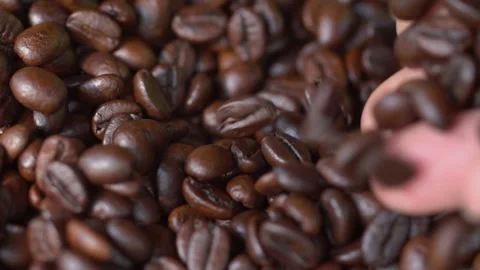 Close-Up Shot of Roasted Coffee Beans Falling off From Hands Stock Footage 137836961