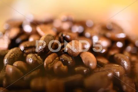 Close Up Shot Of Roasted Coffee Beans