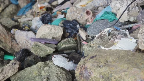 Close up shot of rocky shore polluted with garbage, Guanabara bay, Brazil Vidéo 123737062