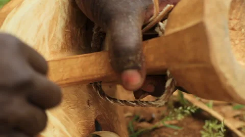 Close Up Shot Rolling Into Focus On Hands Using Traditional Carving Methods Stock Footage 66518446