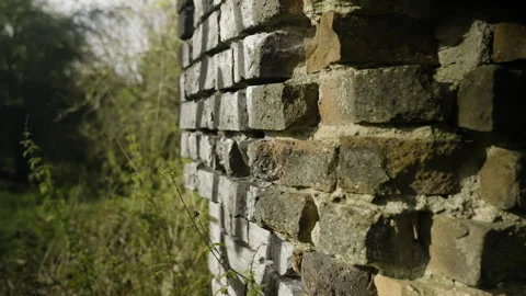 Close-up shot of the ruins of a brick building Stock Footage 220217814