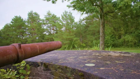 Close-up shot of a rusty barrel emerging from an old green turret, in the woods Stock Footage 305105162