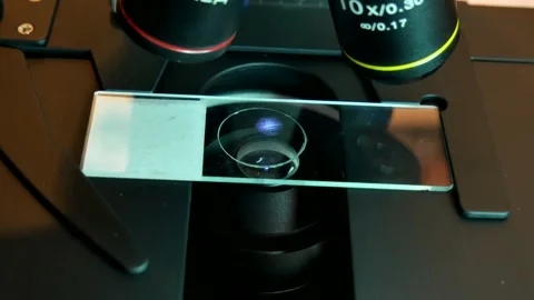 Close-up shot of sample slide and microscope with metal lens at laboratory. Stock Footage 161100273