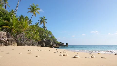 Close-up shot of the sand with shells of Playa Preciosa beach, Dominican Stock Footage 204030798