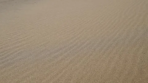 Close-up shot of sand. The texture of sand, grains of sand fly blown away by the Видео 253394247