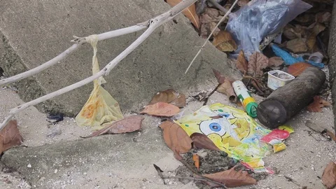 Close up shot of sandy beach polluted with garbage, Guanabara bay, Brazil Vidéo 123737160