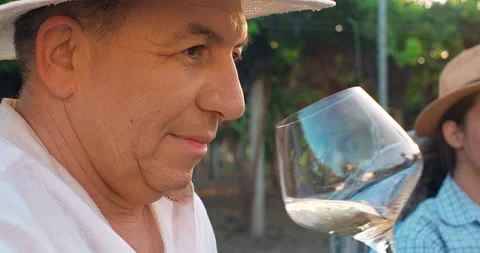 Close-up shot of senior man tasting flavor of white wine in the vineyards at Stock Footage 248782834