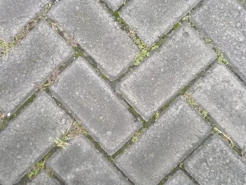 A close-up shot shows a brick pavement with grass growing between the bricks, Fotos Stock