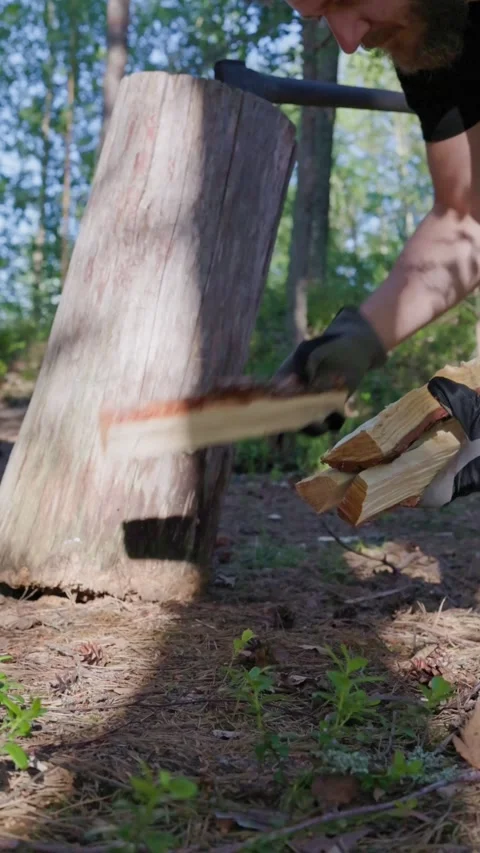 A close-up shot shows a man gathering split logs from the ground. Stock Footage 338412701