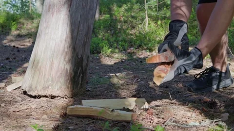 A close-up shot shows a man gathering split logs from the ground. Stock Footage 338412711