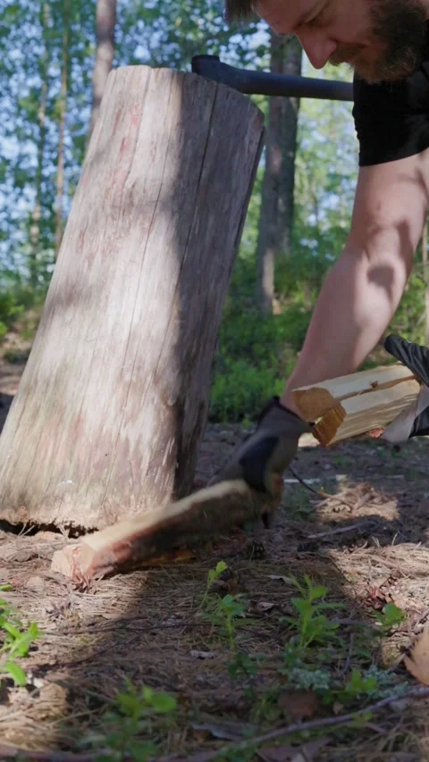 A close-up shot shows a man gathering split logs from the ground. Stock Footage 338412712