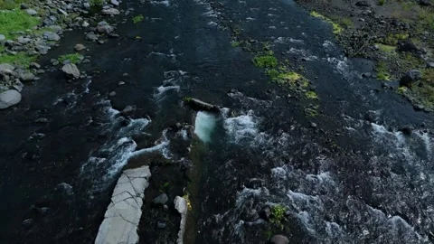 Close-up shot shows river water splashing near log. Ideal for nature concept Stock Footage 336853408