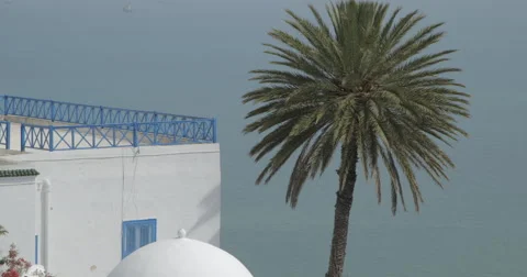 Close Up Shot Of Sidi Bou Said Sea Video stock 61304841