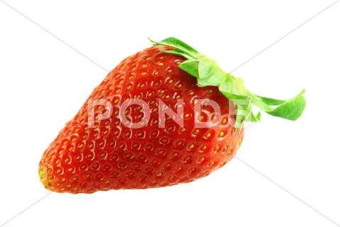 Close up shot of single fresh ripe strawberry Stock Photos