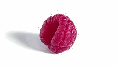 A close-up shot of a single, plump, bright red raspberry with a textured su.. Stock Footage 323729371