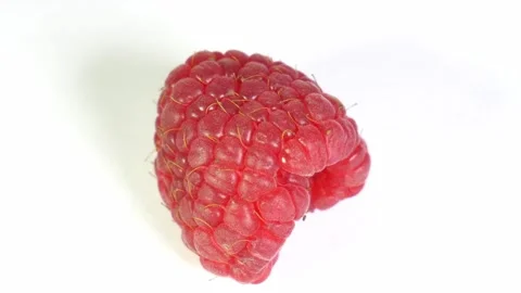 A close-up shot of a single, plump, bright red raspberry with a textured su.. Stock Footage 323766787