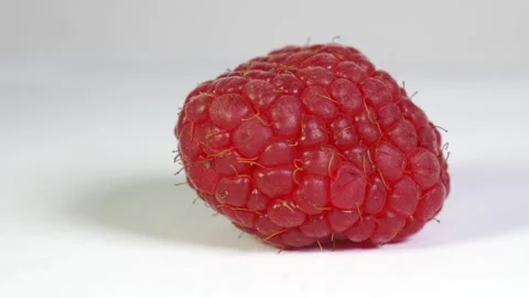 A close-up shot of a single, plump, bright red raspberry with a textured su.. Stock Footage 323767395