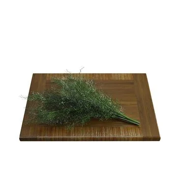 Close-up shot of a single sprig of dill on a cutting board against a white backg Stock Illustration