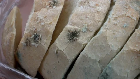 Close up shot of slices of moldy bread. 4k Stock Footage 131996259
