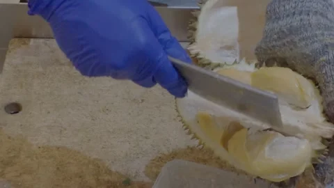 Close-up shot: slicing open the durian husk with a knife. Video stock 341776096