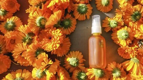 Close up shot of small bottle of calendula oil, and picked calendula flowers Stock Photos