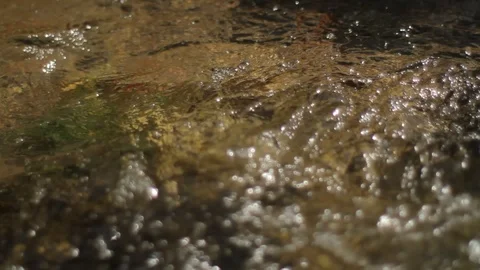 Close up shot of A small creek where the waters of the creek runs fast Stock Footage 86740424