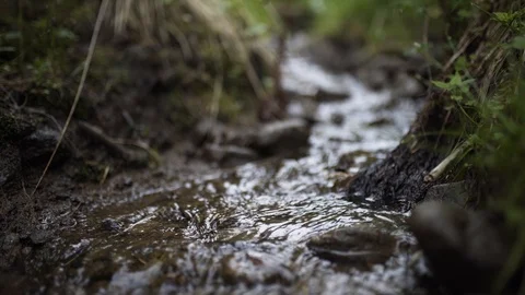 Close up shot of small mountain stream flowing between stones Stock Footage 96163604