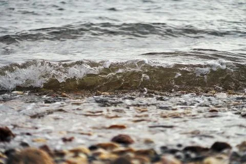 Close-up shot of small sea waves breaking on a rocky pebble beach Stock Photos